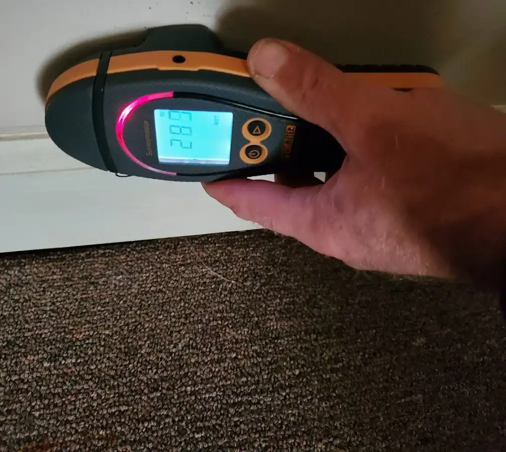 Moisture detection at baseboard during Mold Inspection & Testing in Berkeley